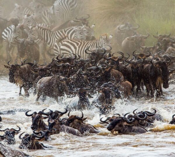 Ngorongoro Crater