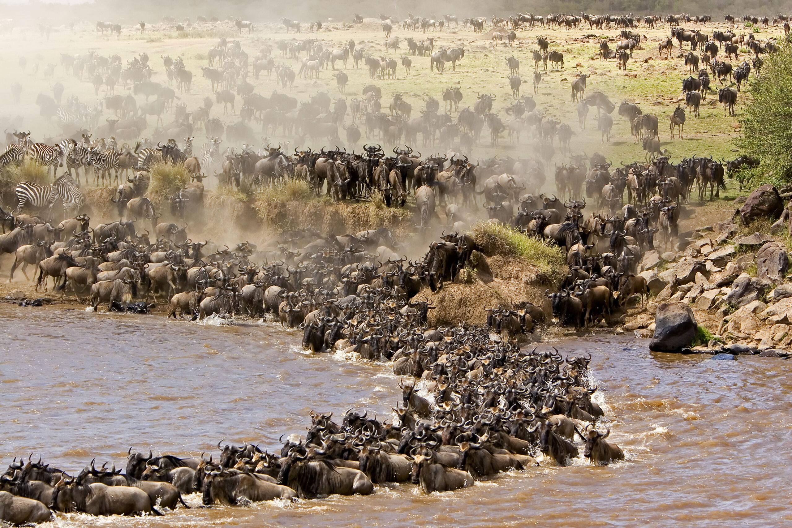 Serengeti NP