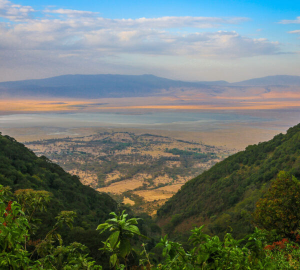 Ngorongoro Crater