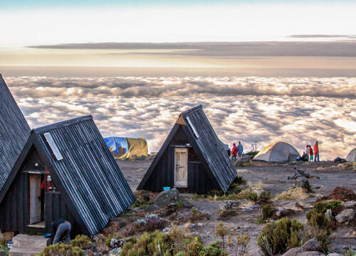 7 Days  Trek Mt. Kilimanjaro