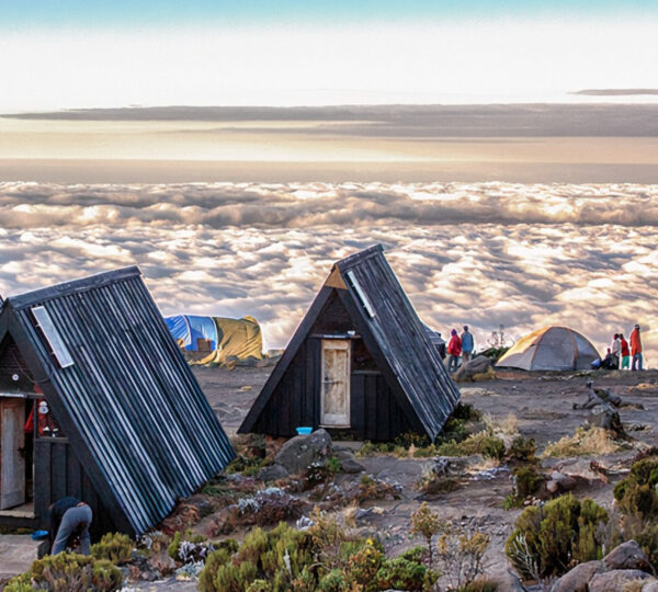 Mt. Kilimanjaro via Marangu